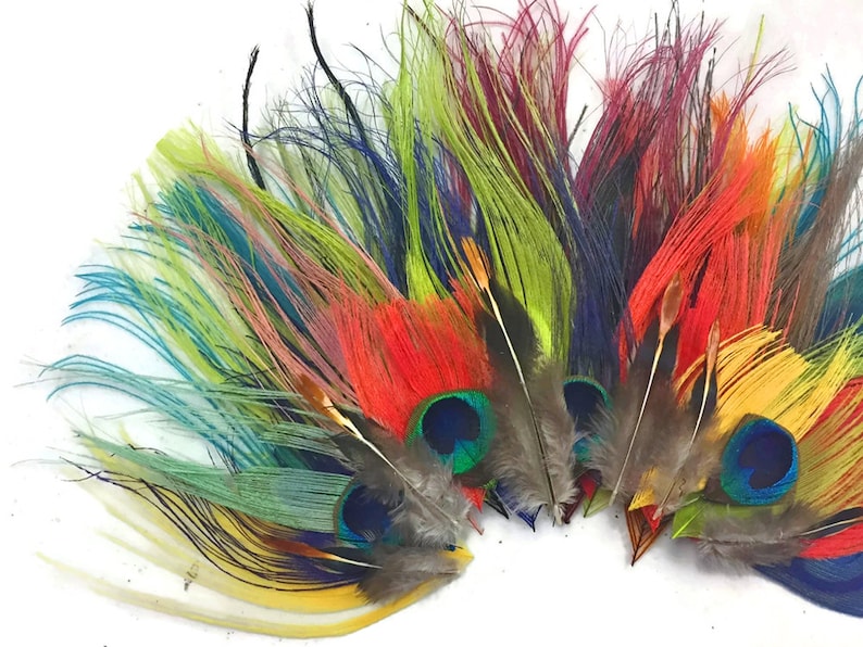 Puede incluir: Una colecci&oacute;n de plumas de pavo real de colores con una variedad de colores que incluyen rojo, amarillo, verde, azul y morado. Las plumas est&aacute;n dispuestas en forma de abanico y tienen un aspecto natural y org&aacute;nico.