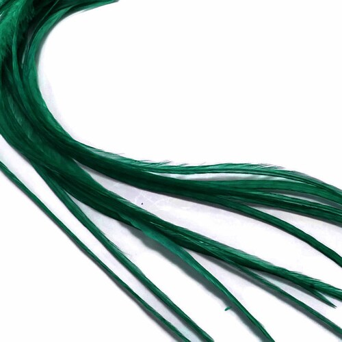 Hair Feathers 10 Pieces Solid Kelly Green Thin Long Rooster Etsy