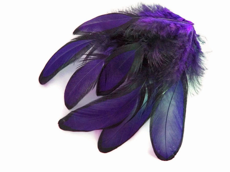 Purple Laced Feathers 1 Dozen Purple Whiting Farms Laced Etsy