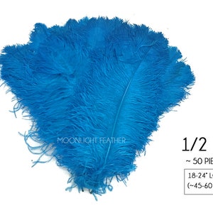 May include: A bunch of 50 turquoise blue ostrich feathers, approximately 18 to 24 inches long, weighing 1/2 pound.