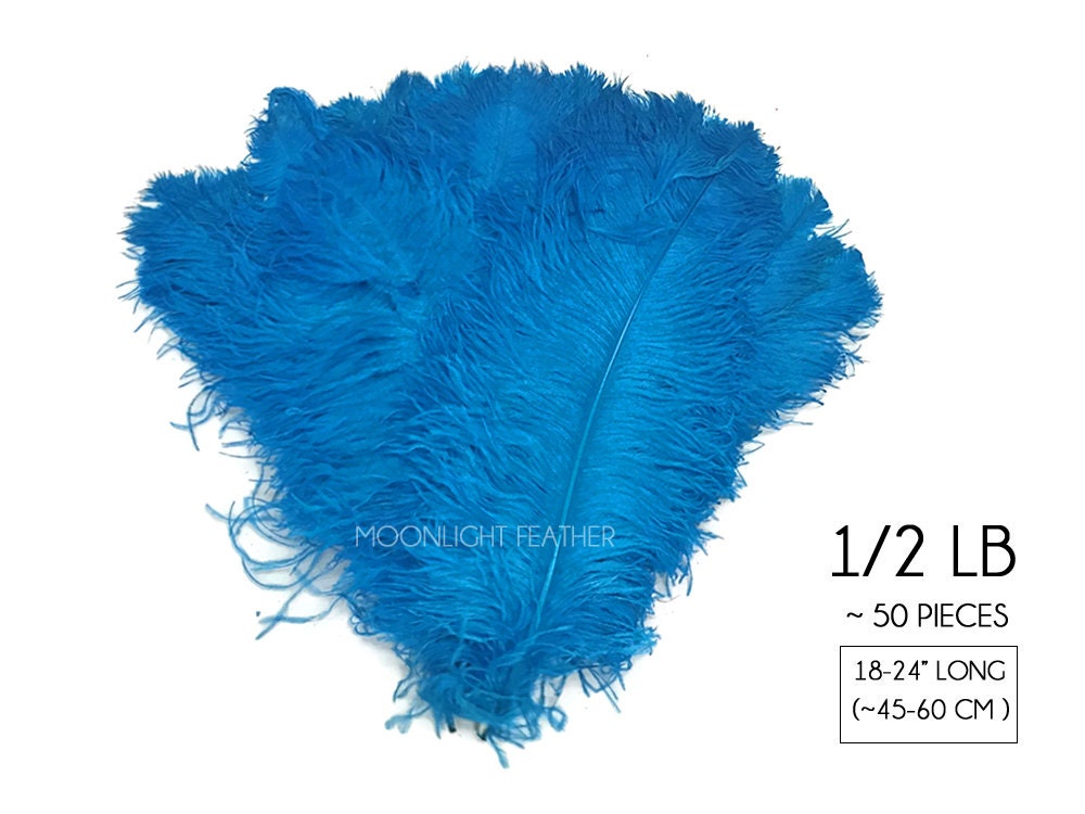 1/2 Lb. - 25-29 Teal Green Large Ostrich Wing Plume Wholesale Feathers  (Bulk)