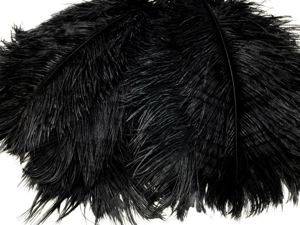 Ostrich Feathers, 10 Pieces 12-16 Black Dyed Ostrich Tail Fancy Feathers  Centerpiece Craft Supplier : 2267 