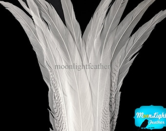 Super Long Feathers, 5 Pieces - 25-30" NATURAL SILVER Pheasant Tail Super Long Feathers (bulk) : 3619