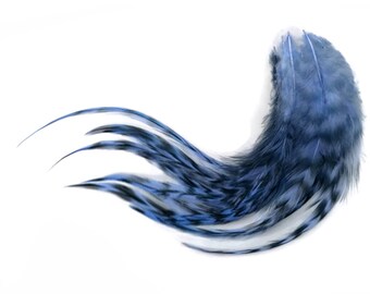 Rooster Feathers, 1 Dozen - Medium Light Blue Grizzly Rooster Saddle Whiting Hair Extension Feathers : 795