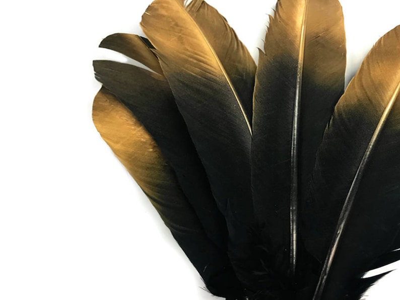 1/4 Lb Gold Metallic Spray Paint Over Black Tip Tom Turkey Etsy