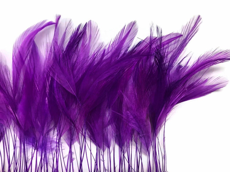 1 Dozen Purple Stripped Rooster Neck Hackle Eyelash Feather Millinery Fly Tying Costume Craft Supply : 398 image 5