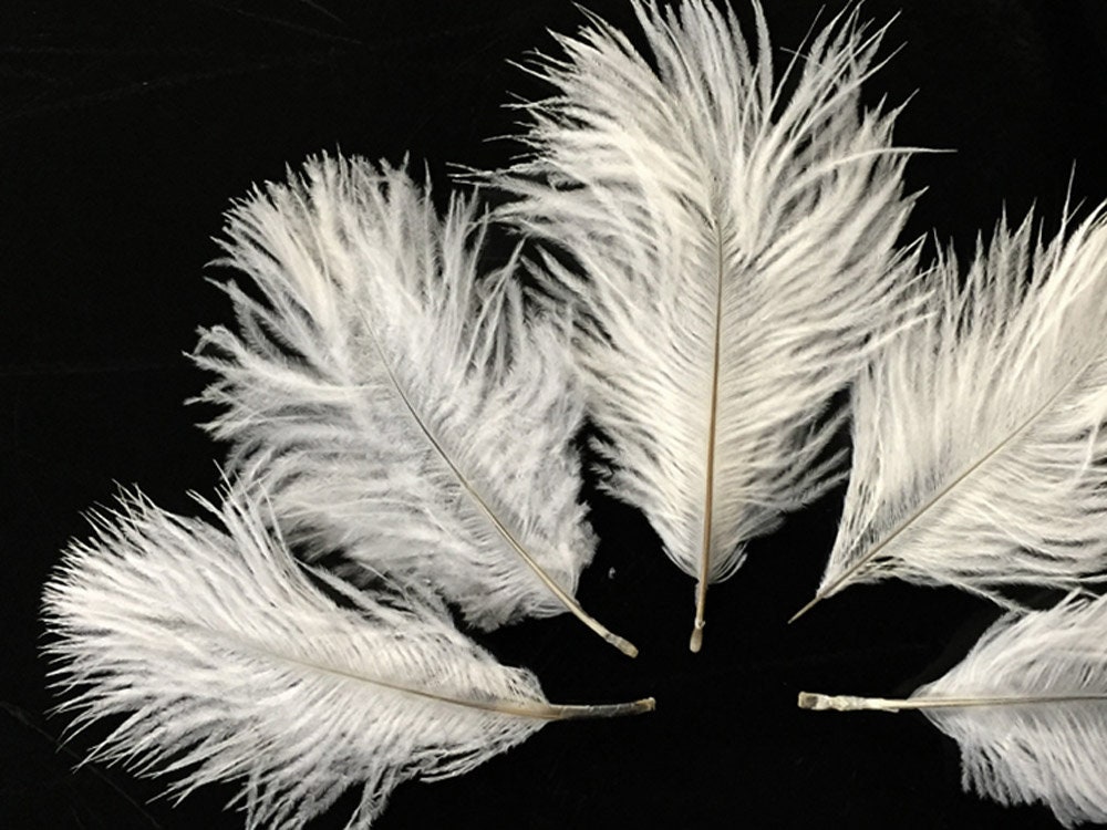 ostrich feather puffs wholesale