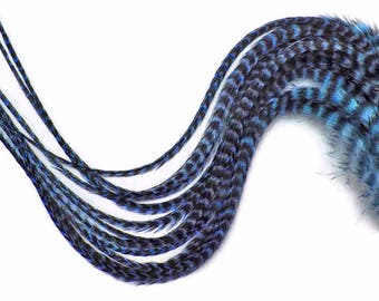 Rooster Feathers, 6 Pieces - Light Blue Grizzly Thick Long Rooster Hair Extension Feathers : 1107