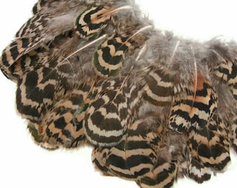 10 Pieces - 1-3" Natural Brown Mottled Peahen Body Plumage Feather Fly Tying Craft Supply : 2266