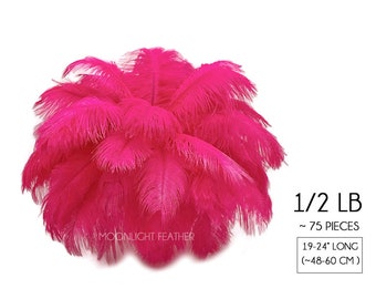 1/2 Lb. - 19-24" Hot Pink Ostrich Extra Long Drab Wholesale Feathers (Bulk) Mardi Gras Costume Centerpiece : 2074