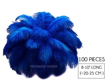 Ostrich Feathers, 100 Pieces - 8-10" Royal Blue Ostrich Dyed Drab Body Wholesale Feathers (Bulk) : 4537