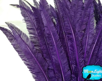 Ostrich Feathers, 5 Pieces - PURPLE Long Ostrich Nandu Trimmed Feathers : 3586