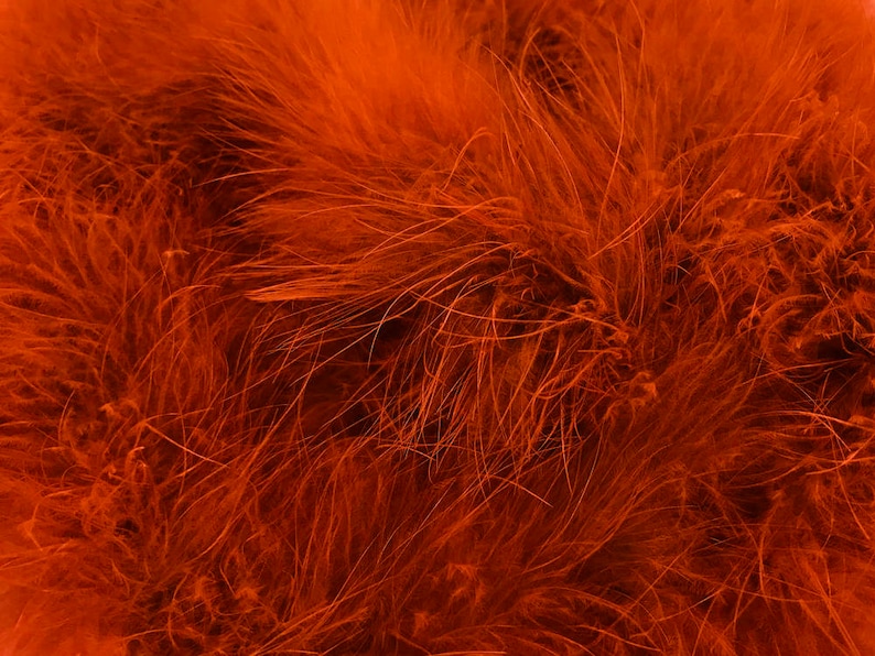 Orange Boa, 2 Yards Orange Turkey Medium Weight Marabou Feather Boa 25 Gram Halloween Craft Supply : 129 image 5