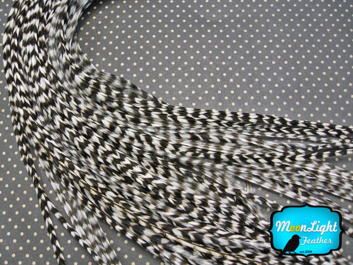 Extra Long Hair Feathers 6 Pieces XL NATURAL THIN Grizzly Etsy