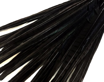 Feather Supply, 50 Pieces - 18-22" Black Bleached and Dyed Long Ringneck Pheasant Tail Wholesale Feathers (Bulk) Costume Supply: 2064