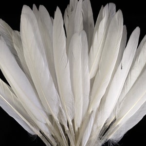 White Duck Feathers, 1 Pack Natural White Duck Cochettes Loose Feathers 0.30 oz. Craft Supply : 448 image 3