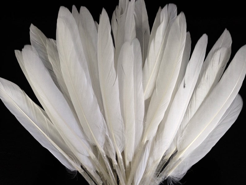 White Duck Feathers, 1 Pack Natural White Duck Cochettes Loose Feathers 0.30 oz. Craft Supply : 448 image 3