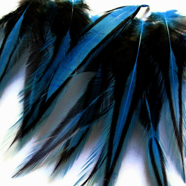 Unique Laced Feathers, 10 Pieces - Kingfisher Blue Dyed BLW Laced Short Rooster Cape Whiting Farms Feathers Craft Supply : 2110