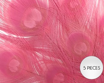 5 Pieces – Sweet Pink Bleached & Dyed Peacock Tail Eye Feathers 10-12” Long Halloween Craft Supply : 1405