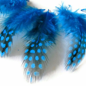 Polka Dot Feathers, 1 Pack Turquoise Blue Guinea Hen Polka Dot Plumage ...