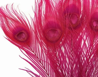 5 Pieces – Hot Pink Bleached & Dyed Peacock Tail Eye Feathers 10-12” Long Halloween Craft Supply : 266