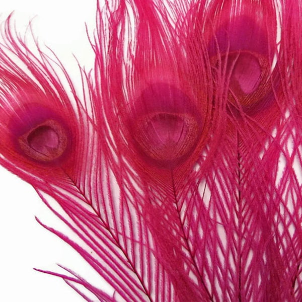 5 Pieces – Hot Pink Bleached & Dyed Peacock Tail Eye Feathers 10-12” Long Halloween Craft Supply : 266