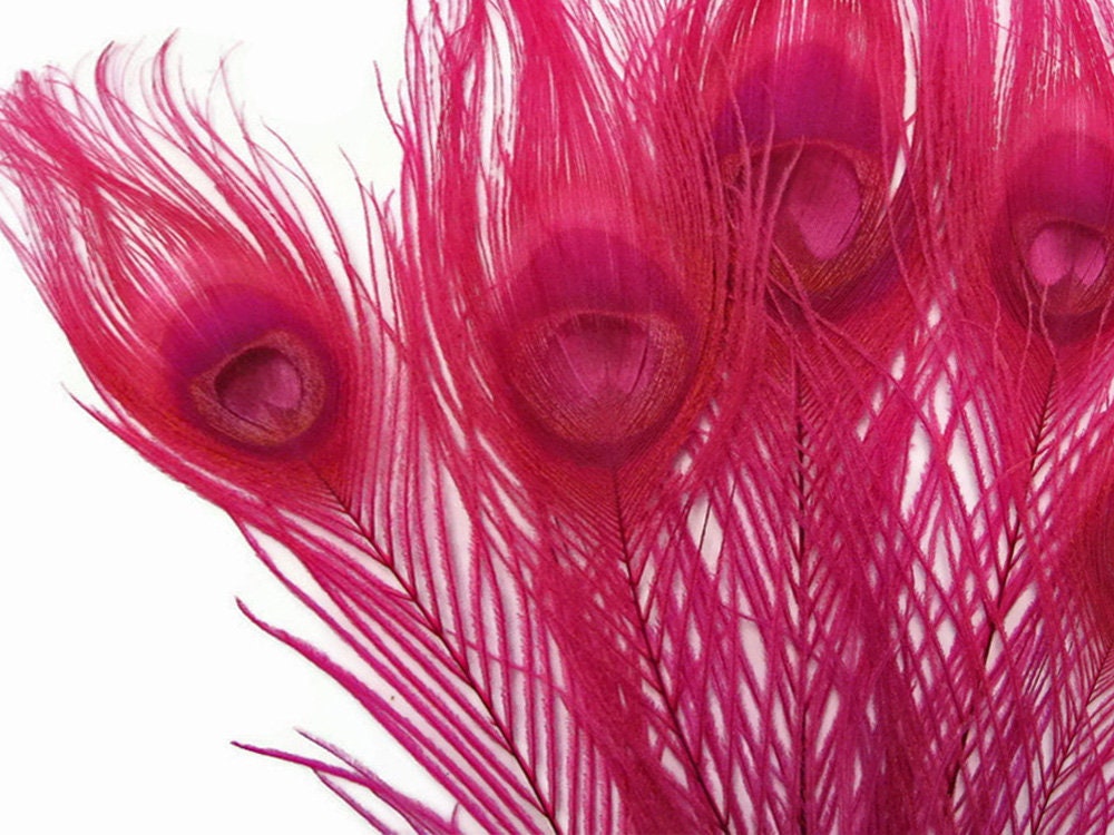 5 Pieces – Hot Pink Bleached & Dyed Peacock Tail Eye Feathers 10-12” Long Halloween Craft Supply : 266