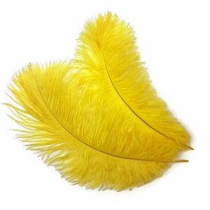 Wholesale Supplier , 1/2 lb 17-19 Yellow Large Ostrich Drab Plumage Wholesale Feathers bulk Mardi Gras Carnival Wedding : 2904 image 5