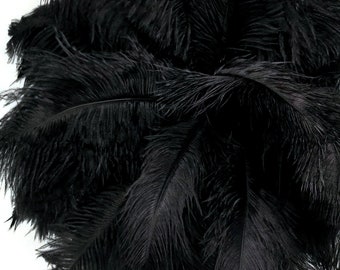 USA Feathers, 10 Pieces - 14-17"  Black Ostrich Dyed Drab Large Body Feathers Centerpiece Carnival Supplier : 1383
