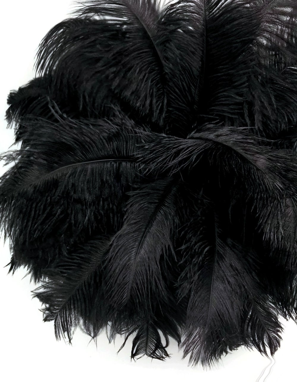 USA Feathers, 10 Pieces - 14-17"  Black Ostrich Dyed Drab Large …