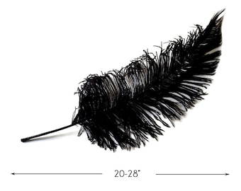 Ostrich Feathers, 10 pieces - 20-28" Black Ostrich Feather Spads Craft Wedding Centerpiece Supply : 3490