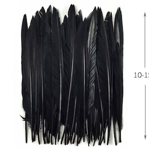 Goose Feather, 10 Pieces - Black Goose Pointers Long Primaries Wing Quill Feathers DIY Halloween Costume : 4908