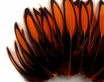 Love Laced Hen Feathers, 1 Dozen - Orange BLW Whiting Laced Hen Cape Loose Feather Fly Tying Fishing Party Supply : 3435