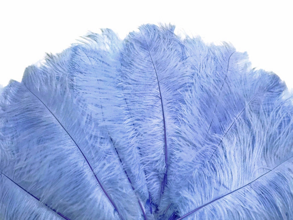 Plumes d'autruche naturelles, 10 pièces, décoration de mariage
