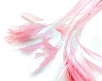 Ethically Sourced, 1 Dozen - Light Pink Stripped Rooster Neck Hackle Eyelash Feather Fascinator, Millinery, Derby Hats Craft Supply : 397