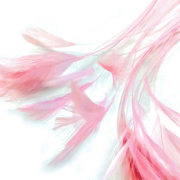 1 Dozen - Light Pink Stripped Rooster Neck Hackle Eyelash Feather Fascinator, Millinery, Derby Hats Craft Supply : 397