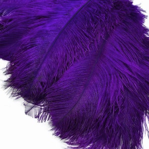 May include: A bunch of purple ostrich feathers. The feathers are soft and fluffy, and they have a natural, elegant look.