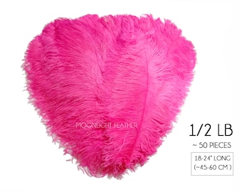Huge Wedding Feathers, 1/2 Lb. - 18-24" Hot Pink Large Ostrich Wing Plume Wholesale Feathers (Bulk) : 2187