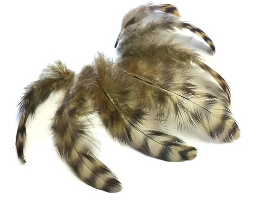 Fly Tying Millinery 10 Hen Pheasant Right Wing Feathers 5.5/" 6.5/"