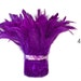 see more listings in the Rooster Feathers section