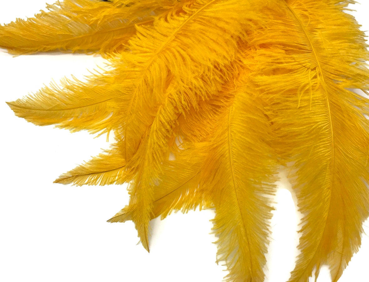 60 Pieces - 20-28 Large Yellow Ostrich Spads Wholesale Feathers 20-28  Carnival