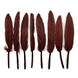 Duck feathers, 1 Pack - Brown Duck Cochettes Loose Feathers 0.30 oz. Craft Supply : 4149