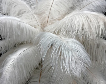 Large ostrich plumes, 10 Pieces - 17-19" Off White Ostrich Dyed Drab Feathers Centerpiece Wedding Costume : 1408