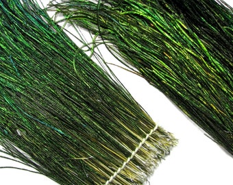 Long Peacock Flue , 4 Inch Strip - 12-14" Natural Iridescent Green Peacock Flue / Herl Strung Feathers : 3680