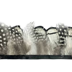 Feather Trim, 1 Yard Natural Black White Guinea & Pheasant Plumage Feather Trim : 4240 image 3