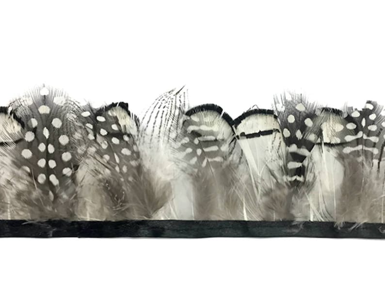 Feather Trim, 1 Yard Natural Black White Guinea & Pheasant Plumage Feather Trim : 4240 image 3