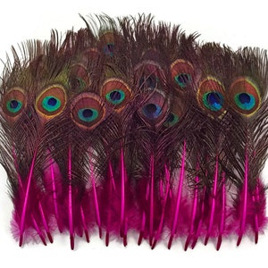 10 Pieces - Hot Pink Mini Natural Peacock Tail Body feathers with Eyes : 3643