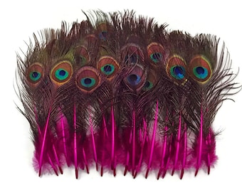 10 Pieces - Hot Pink Mini Natural Peacock Tail Body feathers with Eyes : 3643