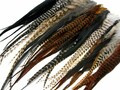 USA SELLER, 50 Pieces - Natural Thick Long Rooster Saddle Whiting Farm Hair Extension Wholesale Feathers (Bulk) Fly Tying Craft : 2219