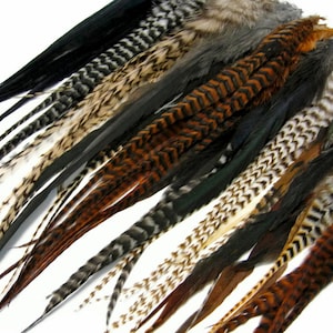 50 Pieces - Natural Thick Long Rooster Saddle Whiting Farm Hair Extension Wholesale Feathers (Bulk) Fly Tying Craft Supply : 2219